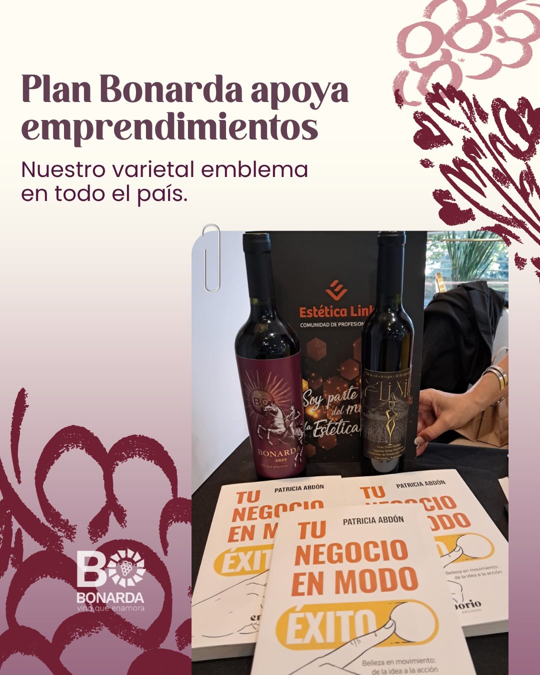 Imagen adicional