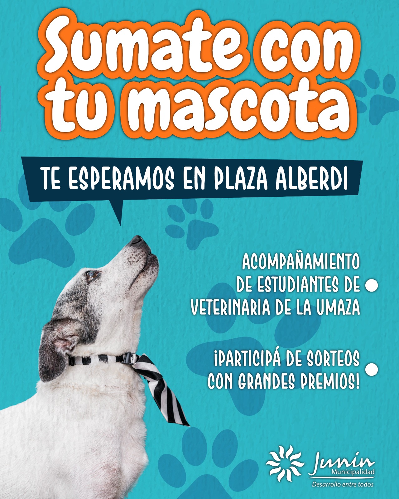 Imagen adicional