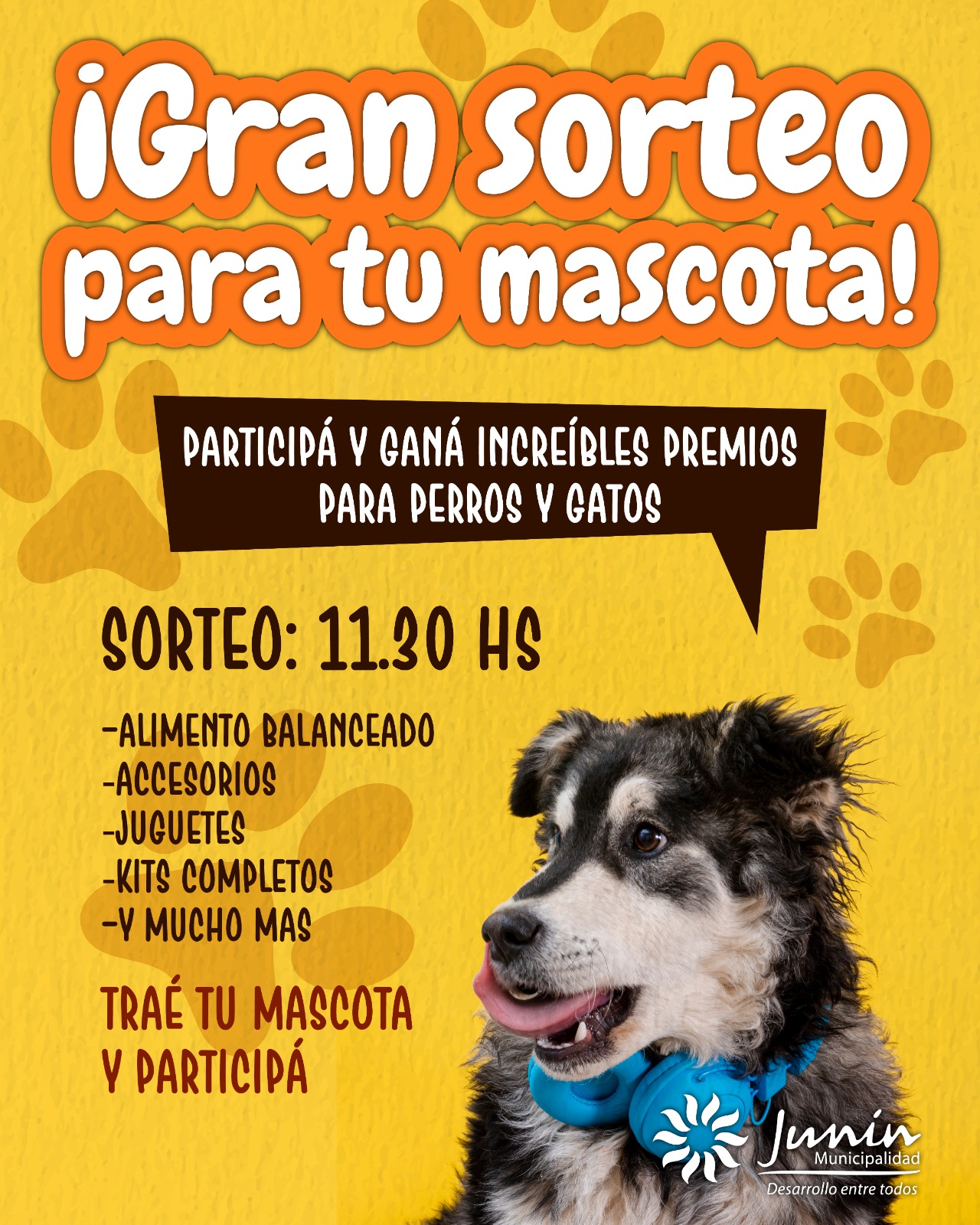 Imagen adicional