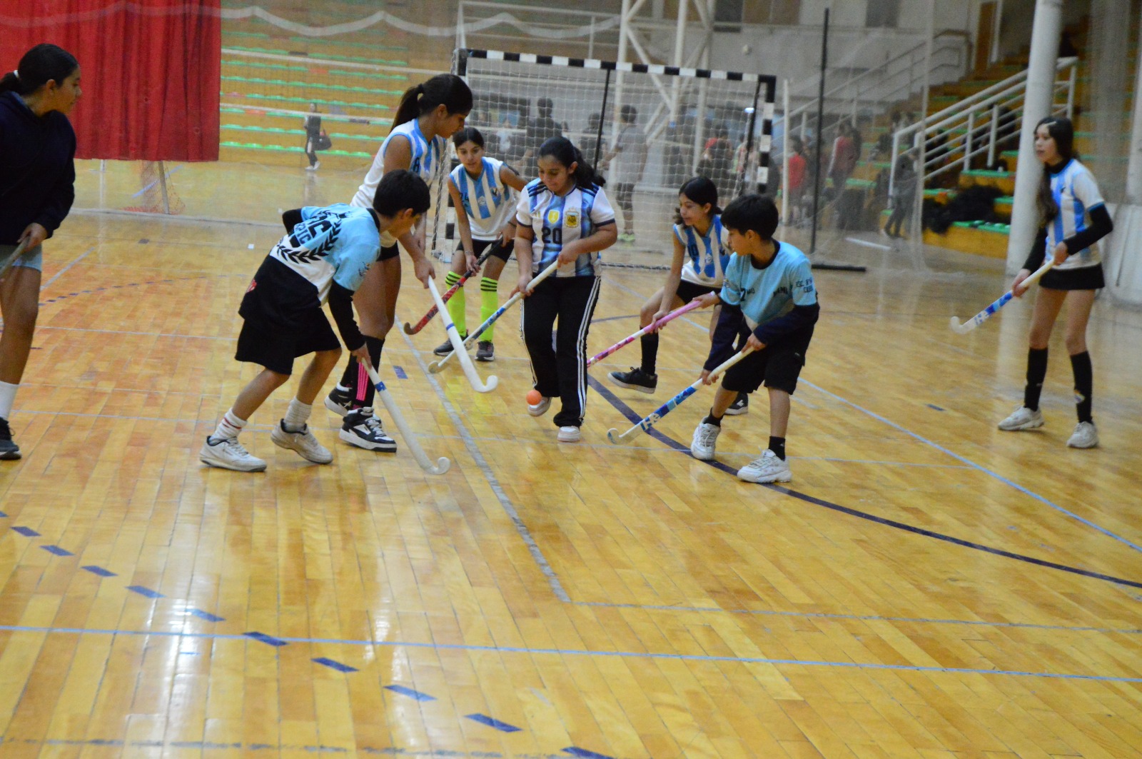 Imagen Principal